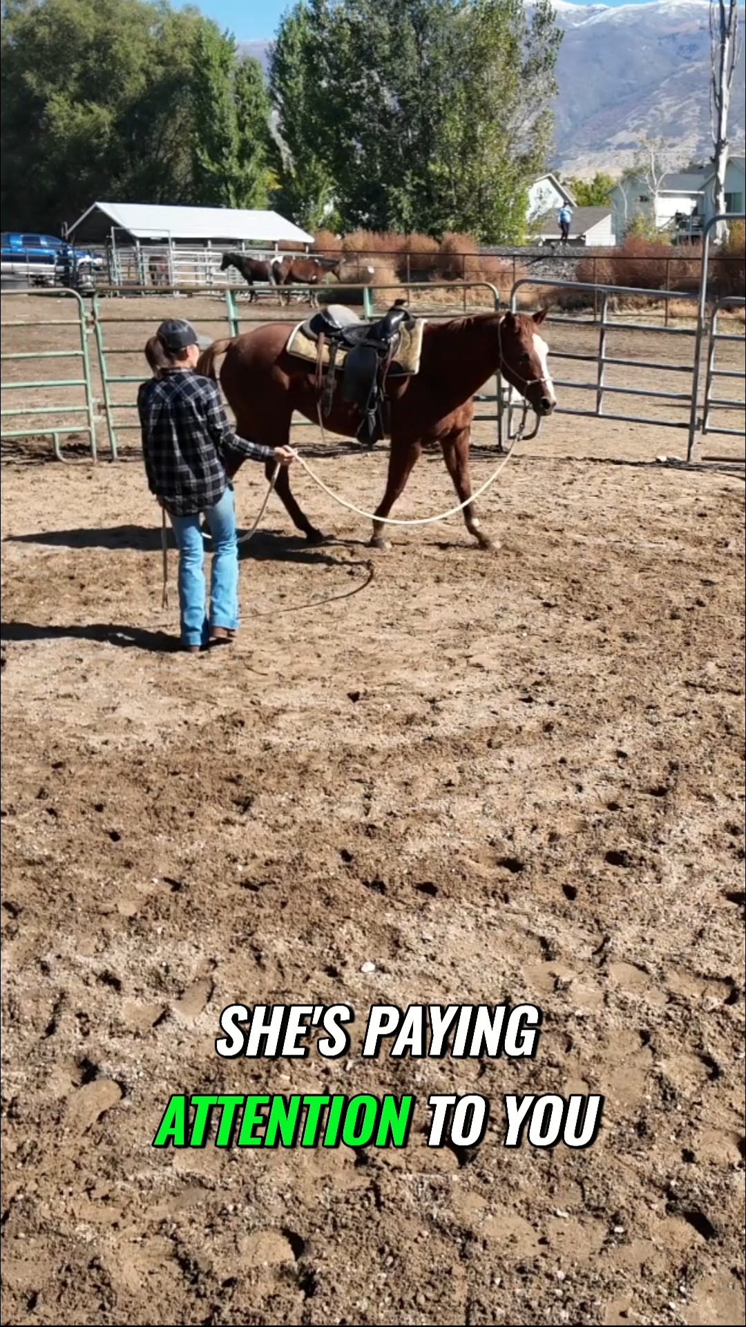 Double Diamond Hill Ranch on Reels | Facebook