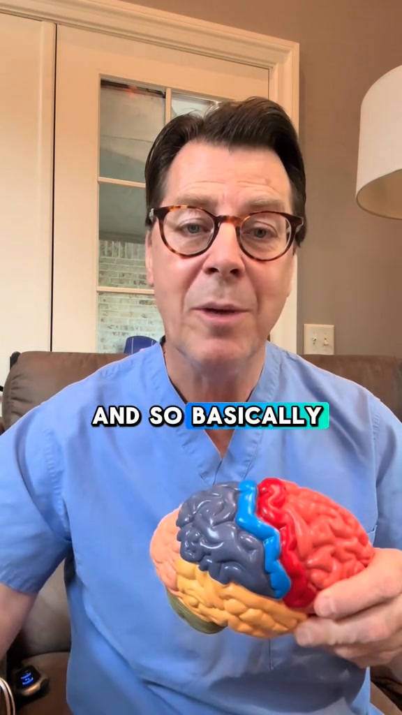Brain doctor explains the brain 🧠. If you like this content leave a ...