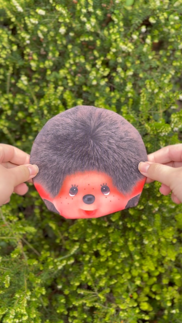 RARE !!! Monchhichi 35th Anniversary ~~~ Monchhichi 35th