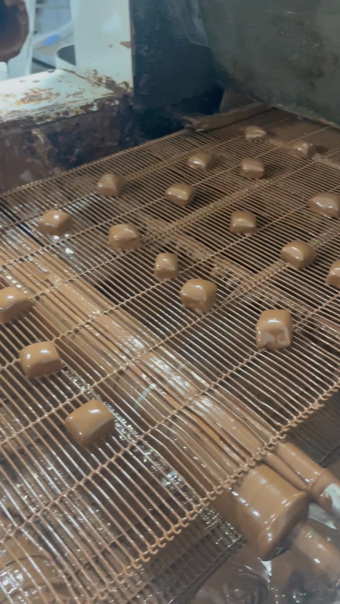 Pacific Hazelnut Candy Factory | Aurora OR