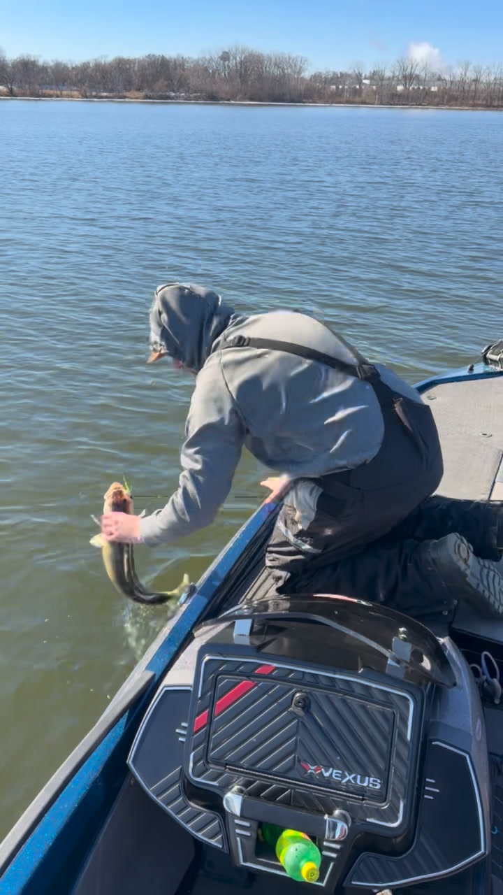 Fun afternoon testing a few new products with Swamp Donkey Bait ...