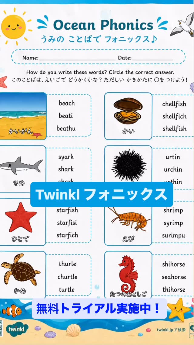 Twinkl Japan 英語教材 (@twinkljapan) • Facebook