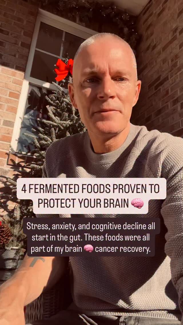 Curated visual reference: Fresh Look at Fermented Foods Proven To Protect Against Stress Cognitive Decline