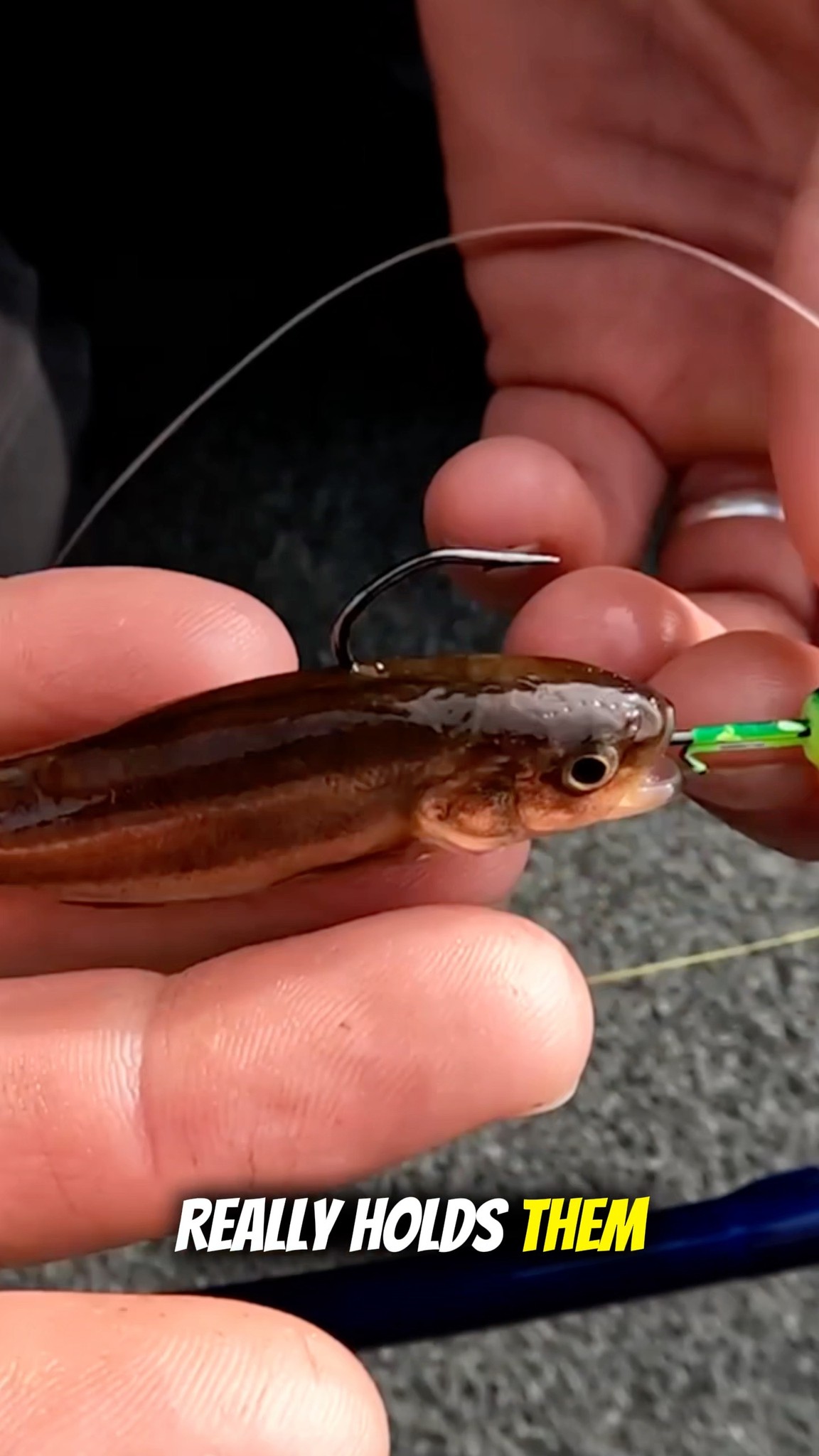 Jeremy Smith goes over his favorite VMC Hooks jig when fishing minnows ...