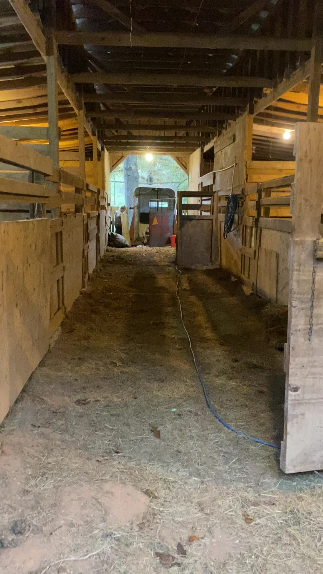 King's Arrow Ranch | Lumberton MS