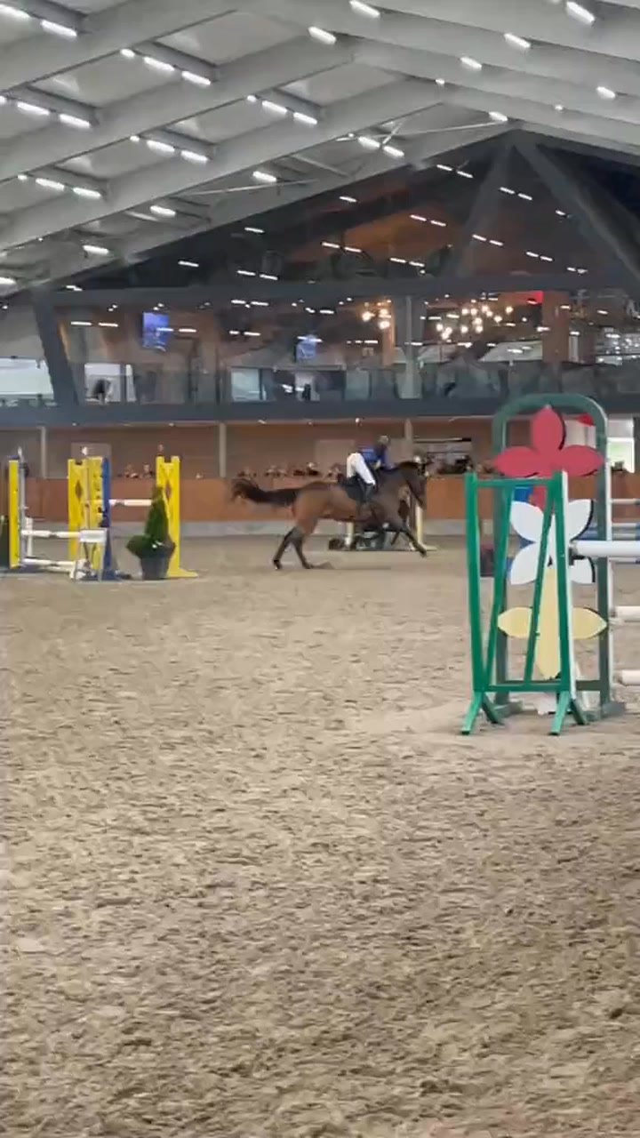 Feew weeks will start jumping again! The my outdoor is ready also!!😍 ...
