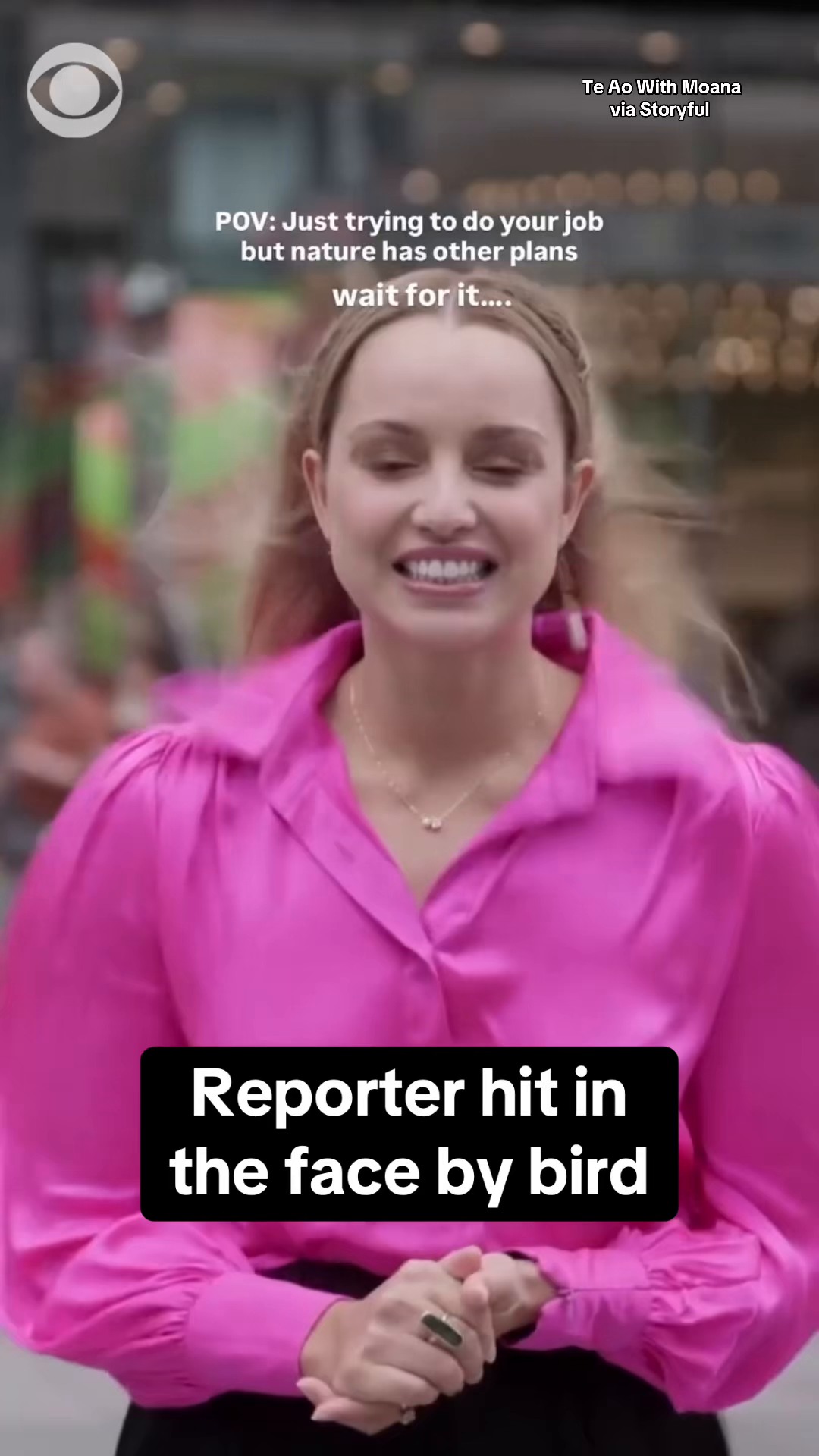 A reporter was hit in the face by a bird as she was filming for a show ...
