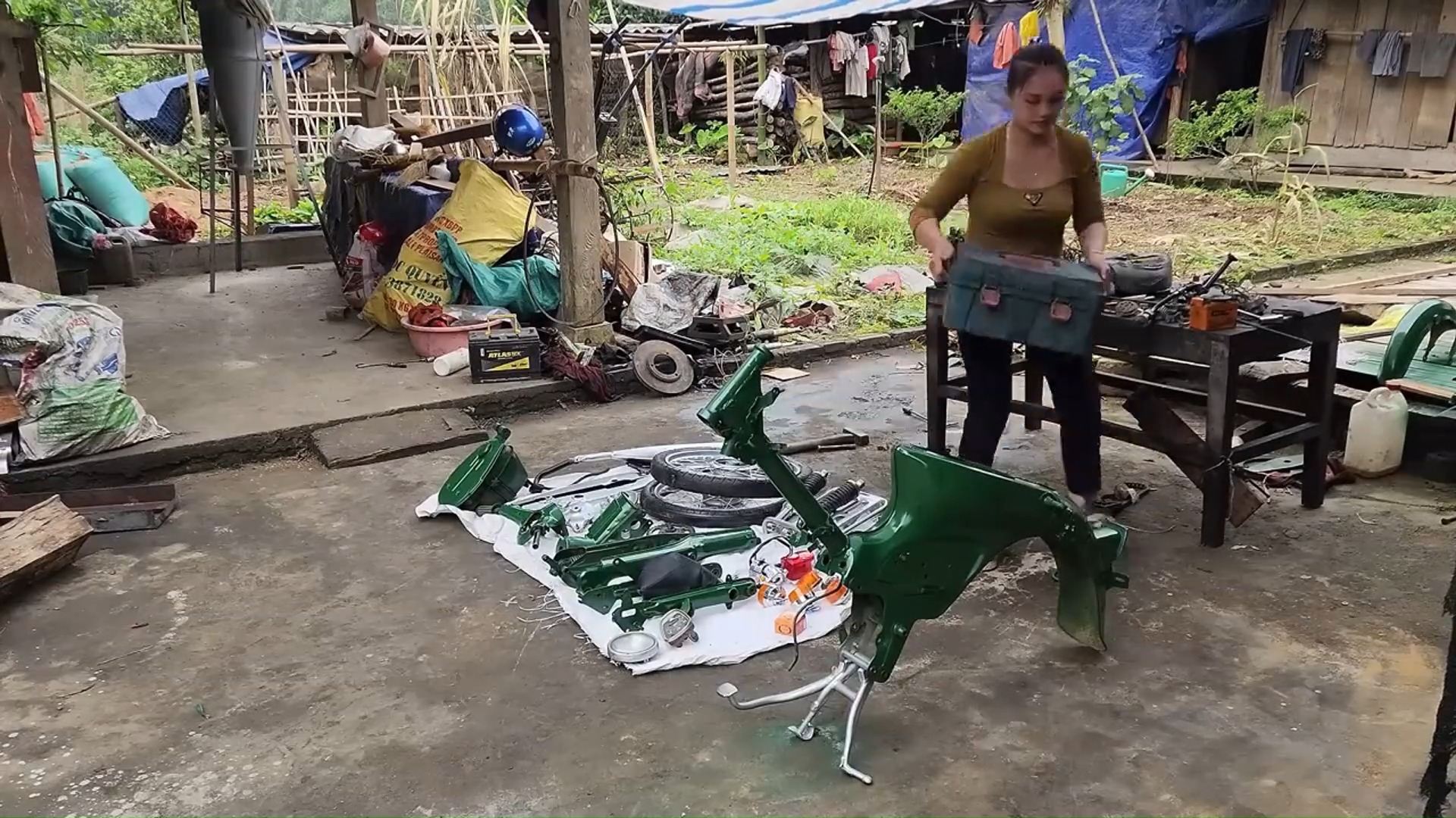 Timelapse 100 minutes restores and repairs various types of animals ...