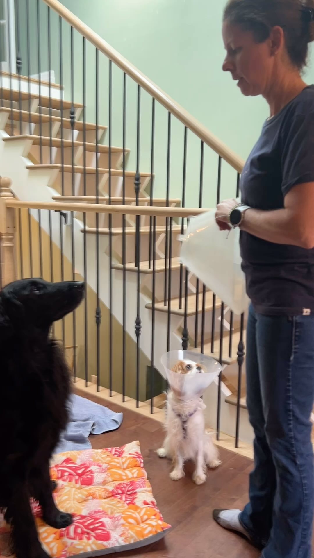 Jimmy is just starting to learn how to move backwards. Even though he ...