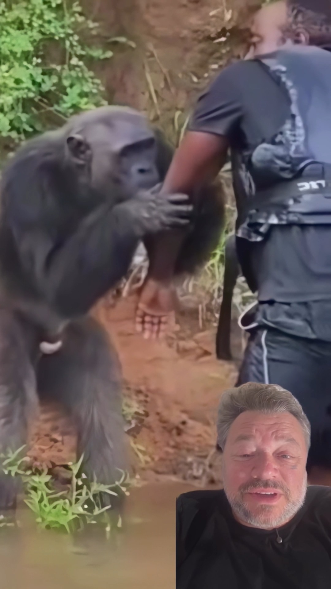 Grande amizade? 😅 #primatas #animais #biologia | Richard Rasmussen ...
