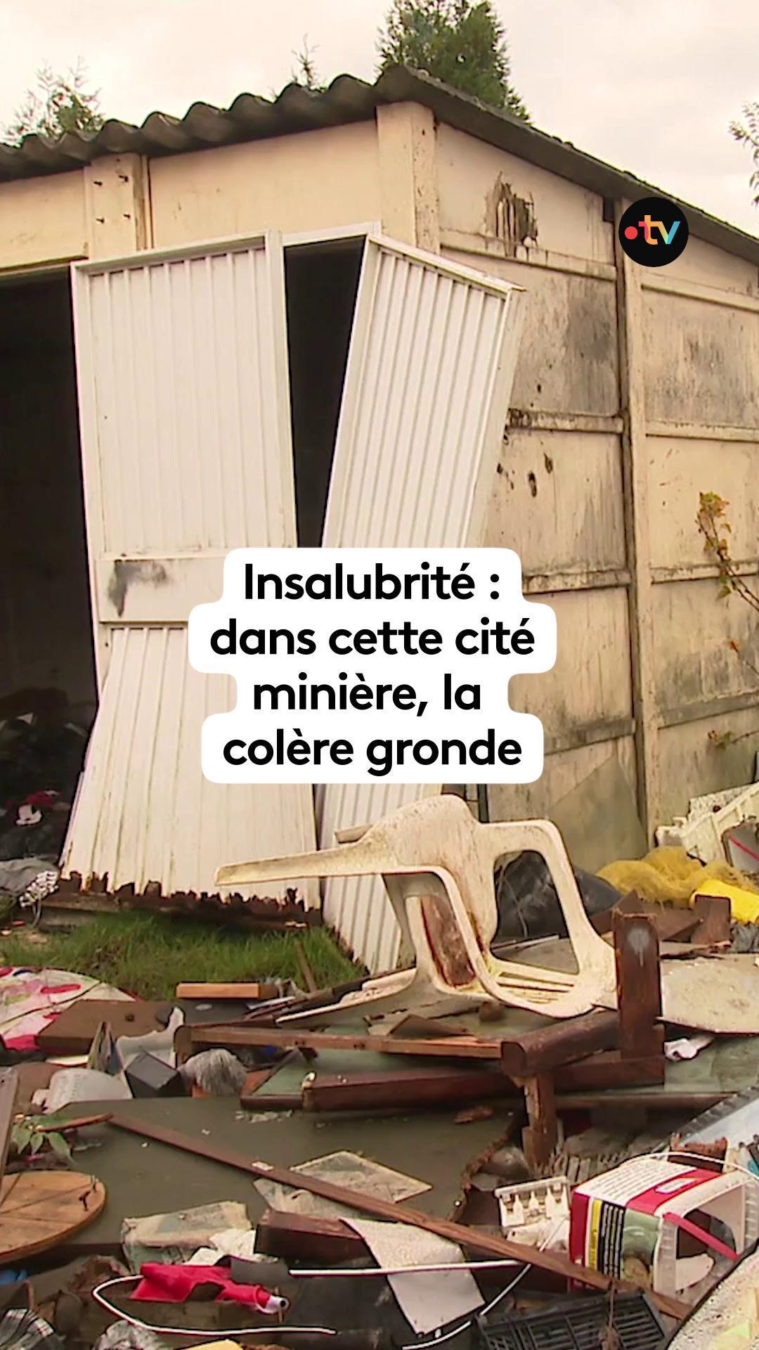 🐀 🗑️ Insécurité, déchets, prolifération de rats… Les habitants de la ...