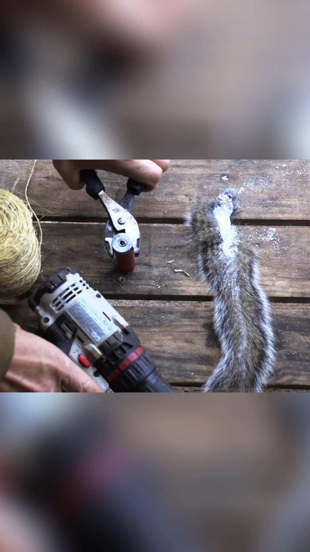MeatEater - In two minutes, learn how to debone a squirrel... | Facebook