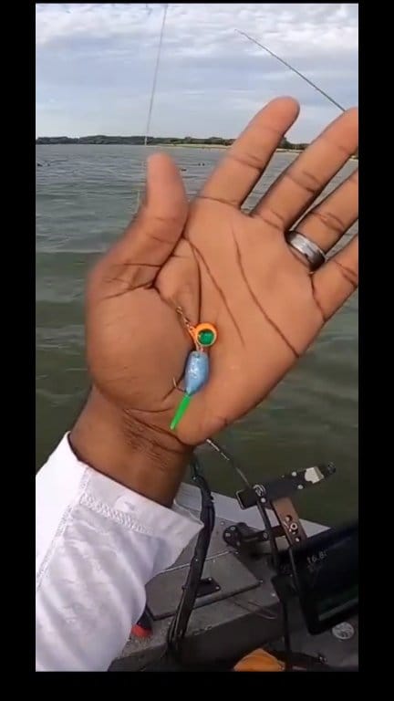 animal planet river monsters fishing pole Monster Series Spinning Rod – Inshore Hunter 70th birthday gift for husband Color:Antifreeze Cicada Owner Jobu Big Game