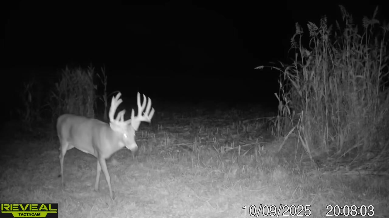200” Typical… but what do you think? Is this truly a 200-inch typical ...