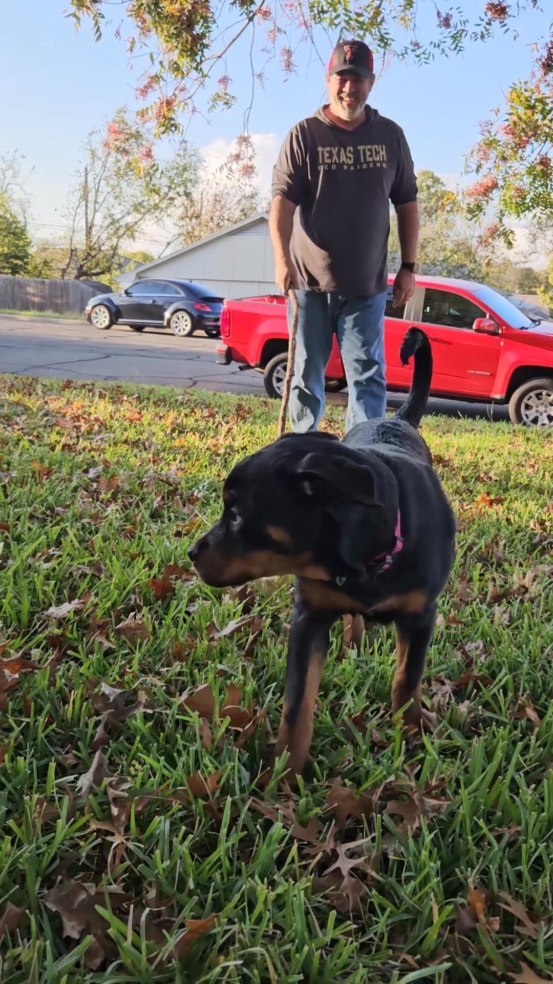 Rottie Lovers Ranch - Texas | Waco TX