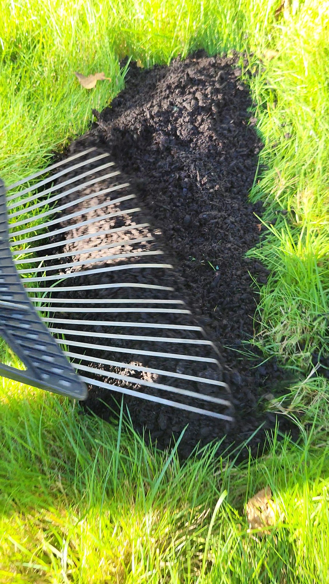 Healthy Lawn Full Website (Copy, 234 selected)