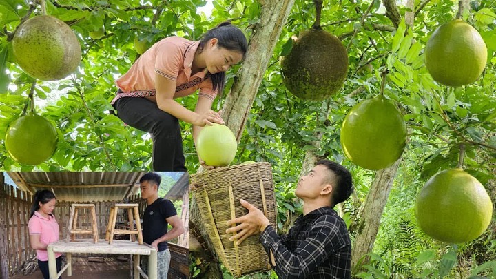 28 -Wife picking fairy peaches to go to market Selling - husband Making ...