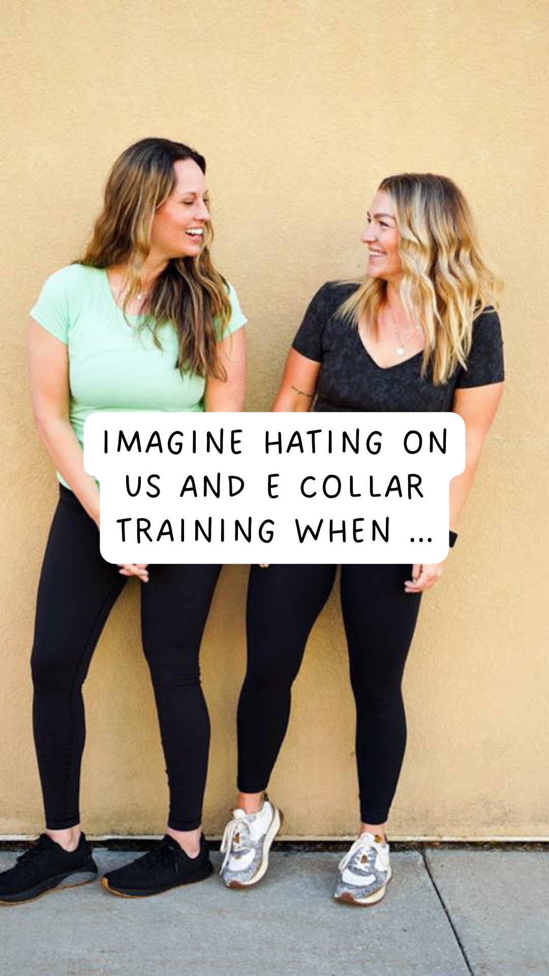 Imagine hating on us and e collar training when … this is what it's ...
