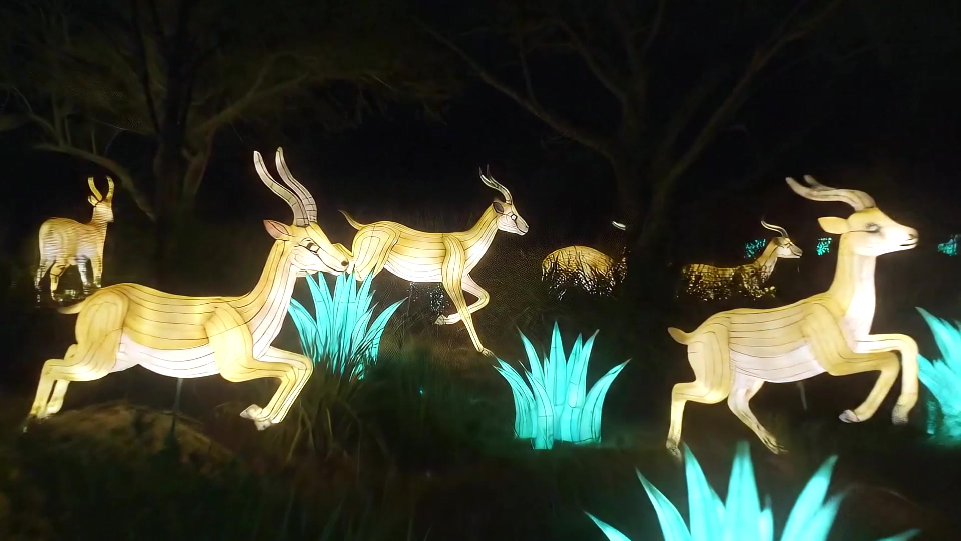 Join us January 19 for Community Night at Colors of the Wild when