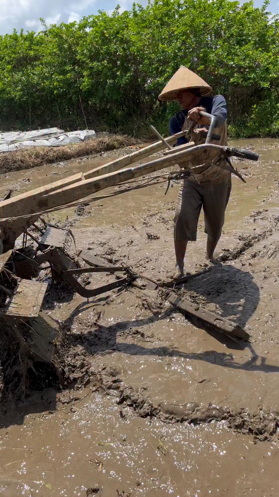Satisfying Rice field plowing you’ve never seen beefore. This rhythm of ...