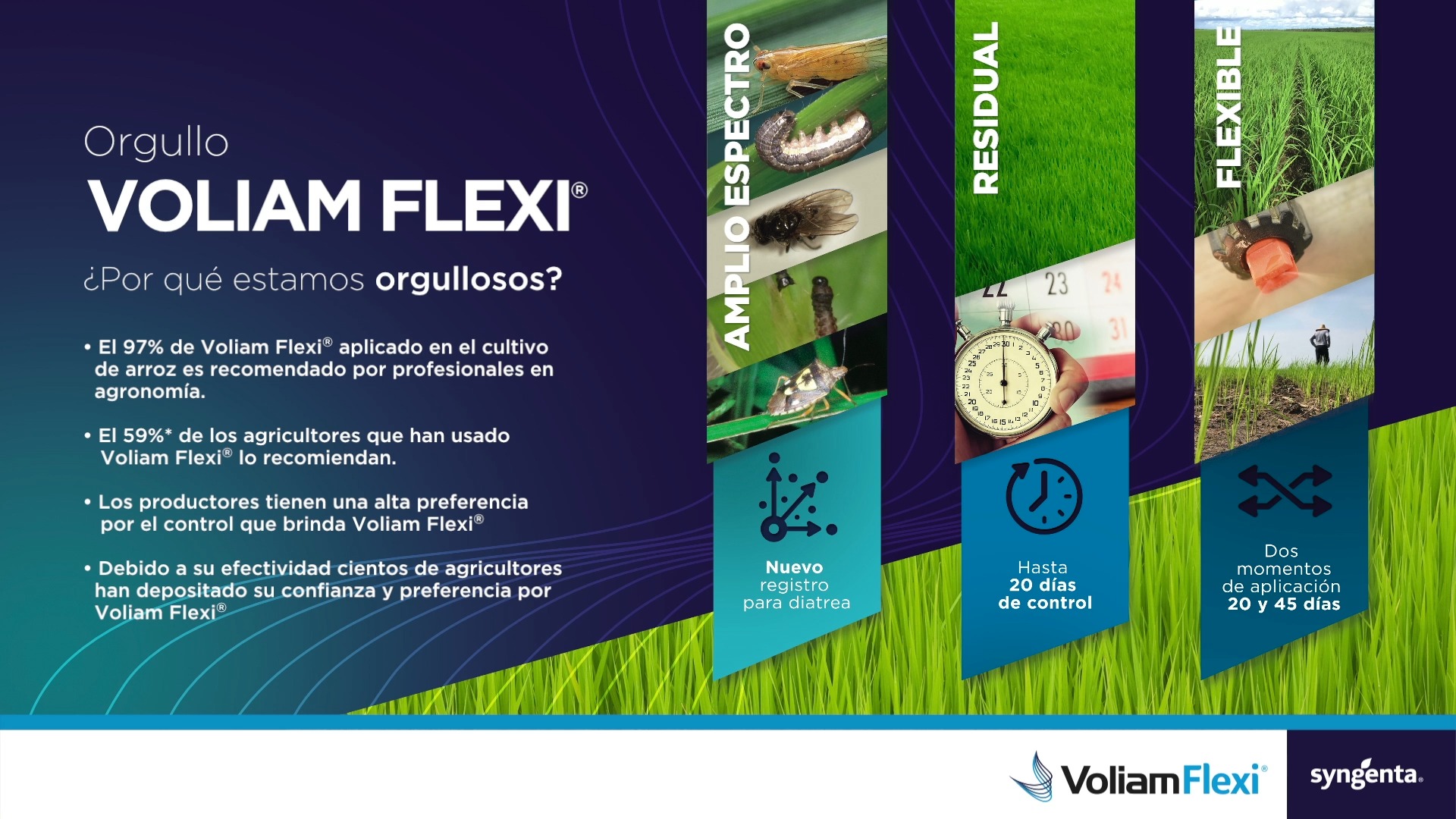 Conoce todo lo que tienes que saber sobre Voliam Flexi® para que puedas ...