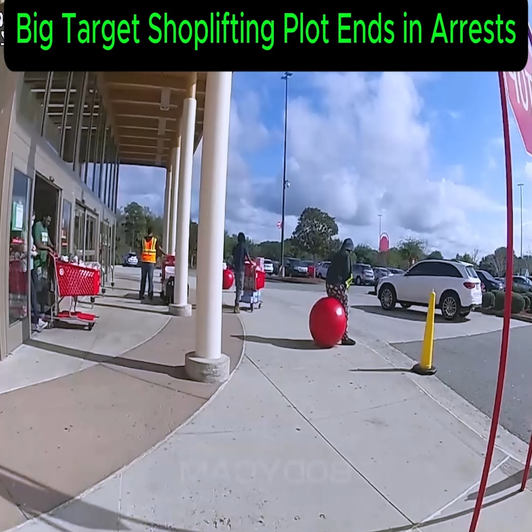 Big Target Shoplifting Plot Ends in Arrests #cops #copwatch #crime # ...