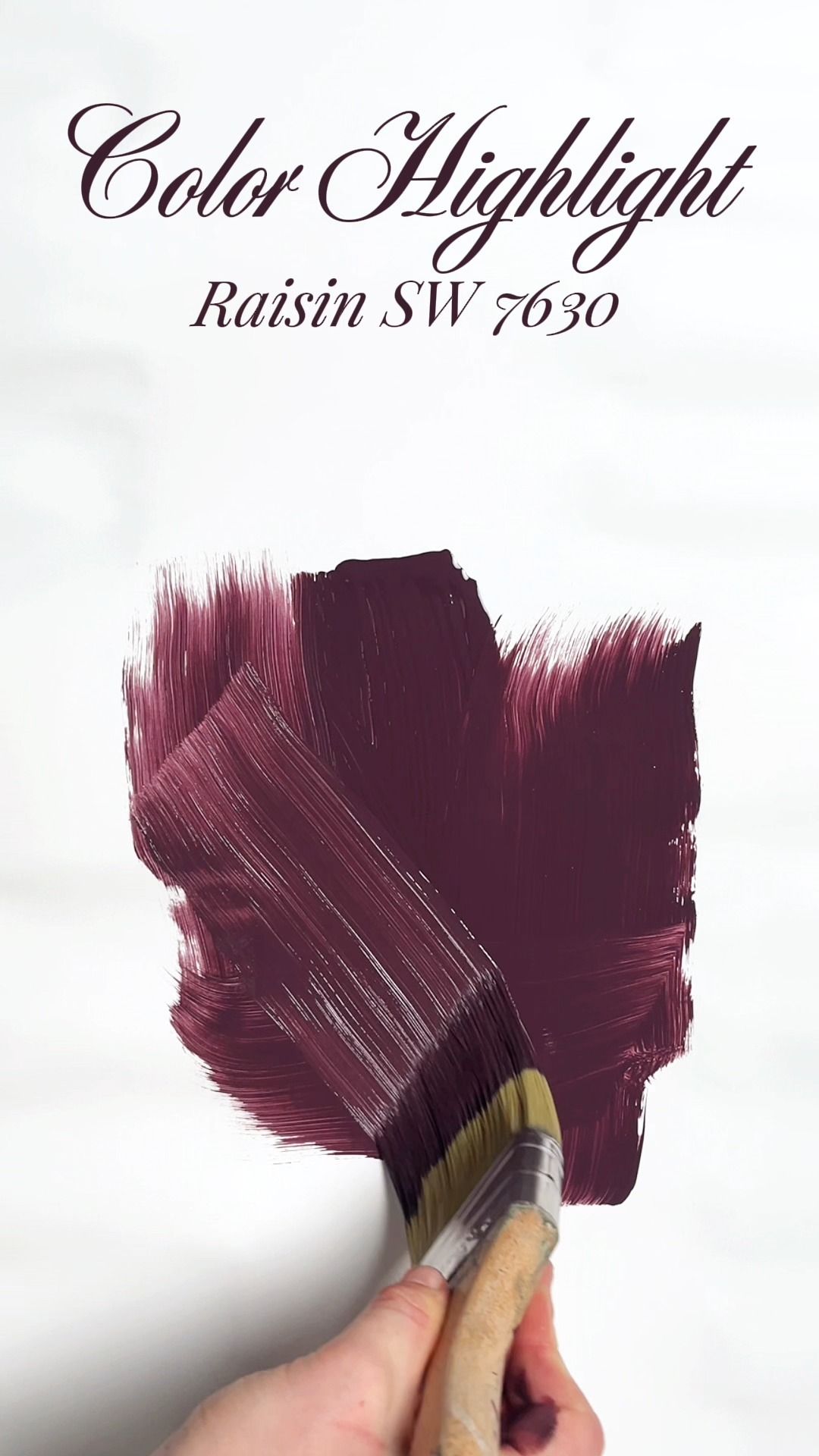 Cozy up to color! Sherwin-Williams Raisin (7630) brings winter warmth ...