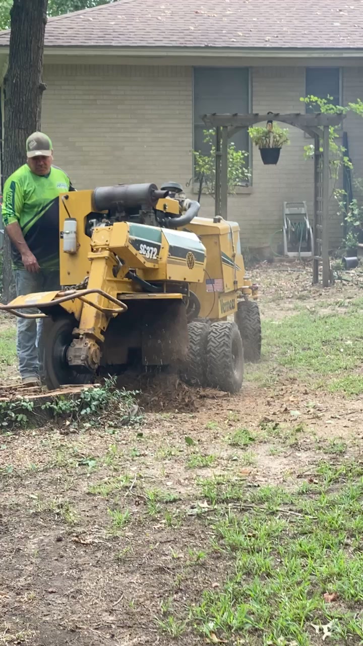 Arzola Tree & Lawn Service | Longview TX