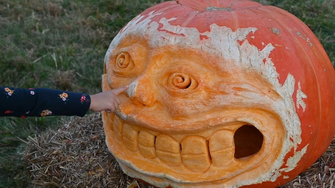 TOMORROW begins the Great Pumpkin Carve of Chadds Ford! Come on 