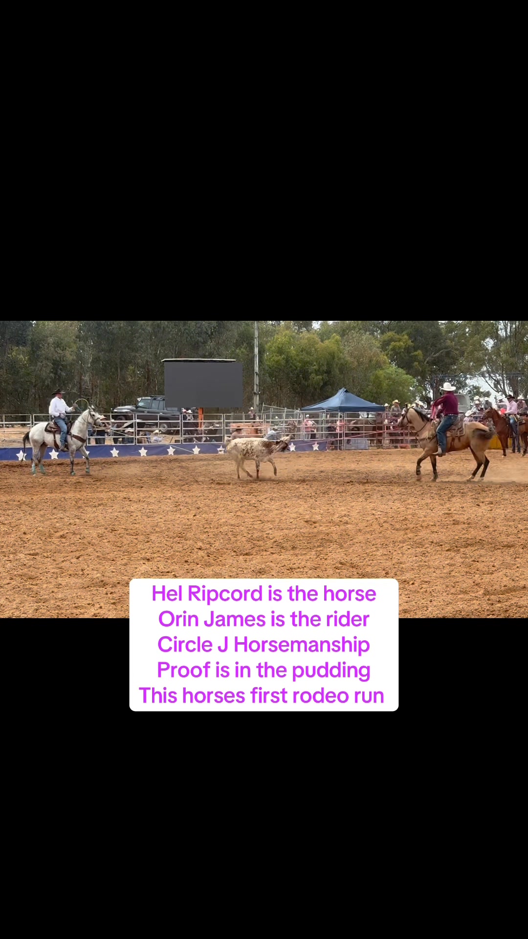 What a superstar horse . First trip on the rodeo road . Many of you ...