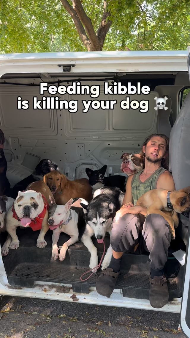 View of Are you feeding your dog kibble? 🤮 There is no such thing as ‘high ...