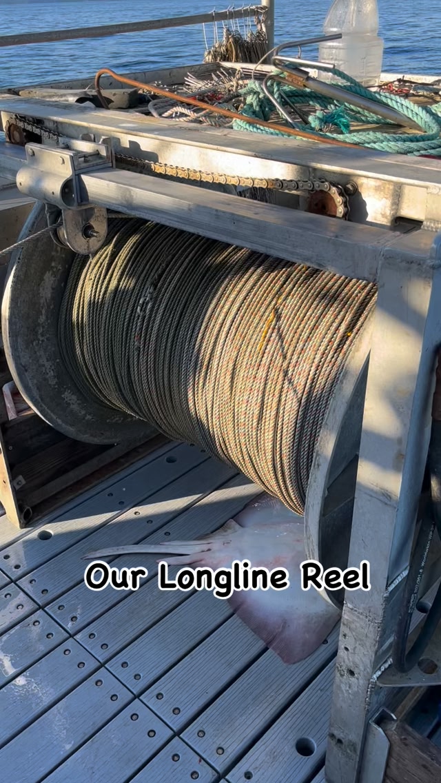 50lb mono fishing line Hi Lo 50 lb Rig Single Dropper Loop 4 inch Make Your Own Tackl wicked Baitcasting Reel Best Catfish Color:Green Pirate WMW012 and value.