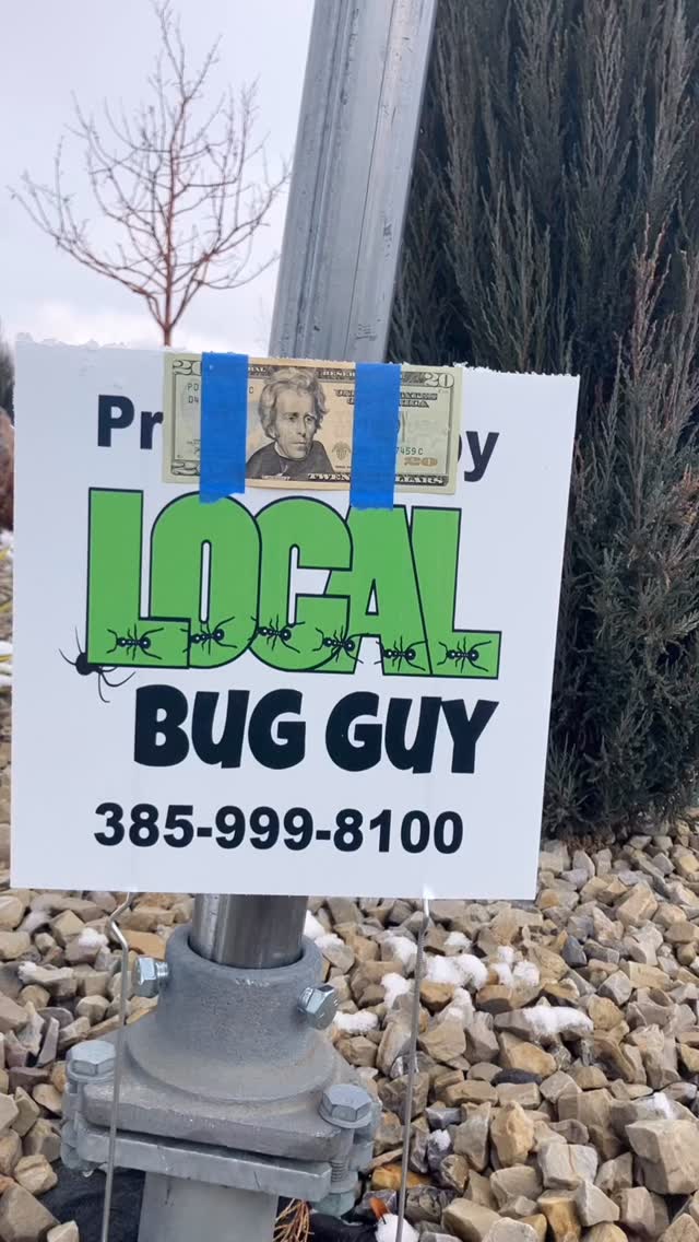 Want $20? LOCAL Bug Guy is hiding $20 every MWF around our service area ...