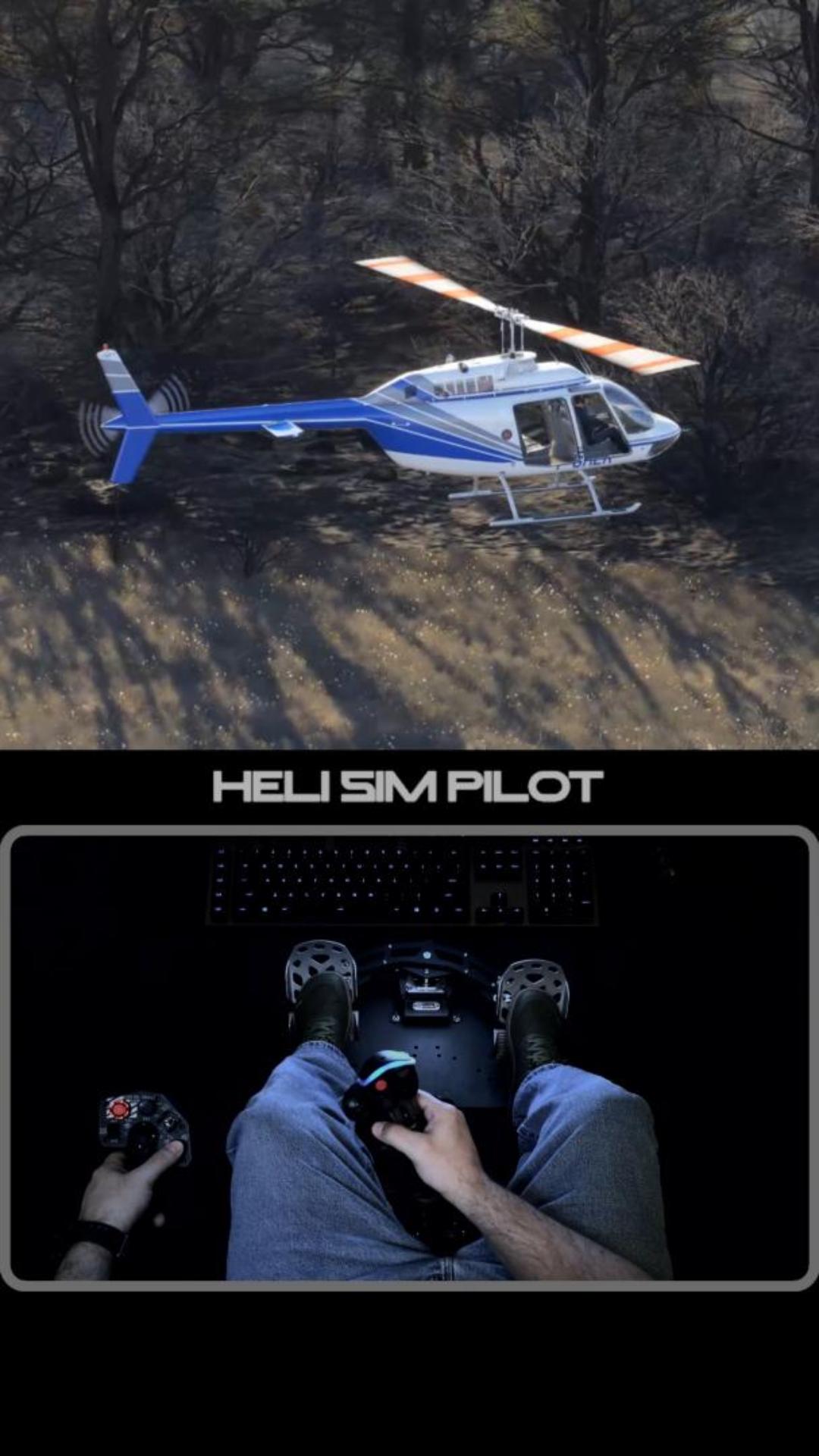Heli Sim Pilot