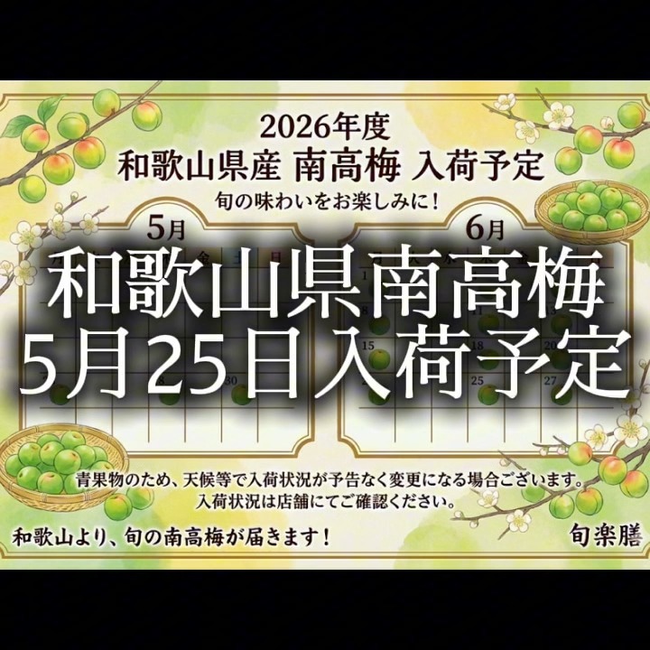 食品 そろそろ最終発送ミネラル南高梅(落ち梅)注文はコメントへ