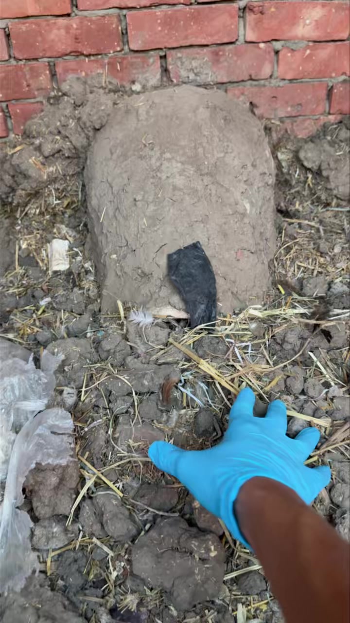 Revealing the secret of the rabbit's mother's burial of the stone ...