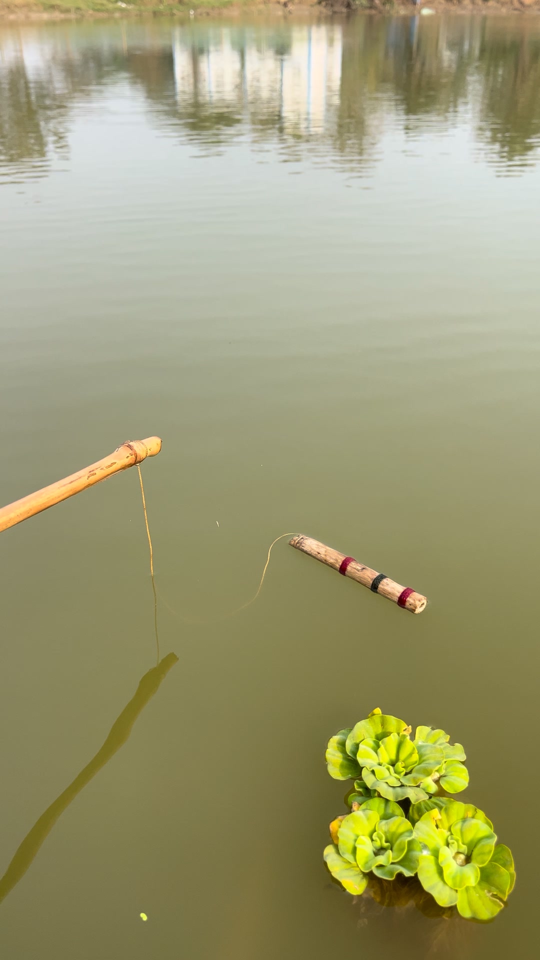 Big Fish🐟🎣 #bigfish #fishingvideo #fish #fishing #videoviralシ #trap # ...