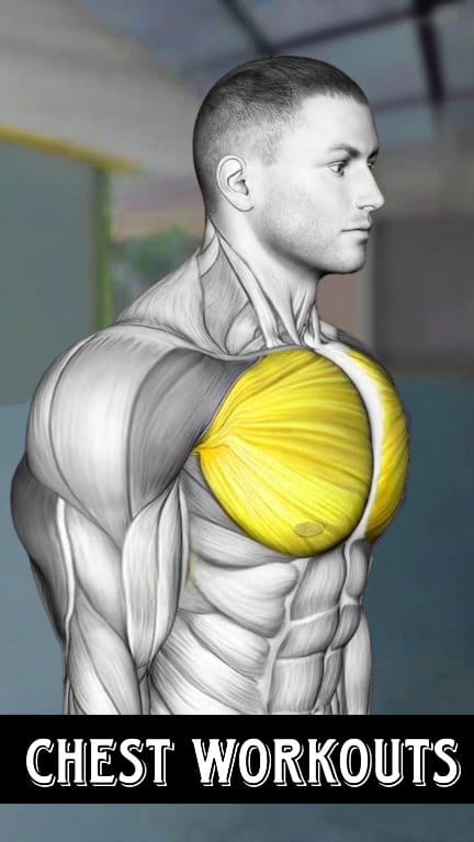 Chest Day Workouts Routine - Chest Workouts #chestday #chestworkout ...