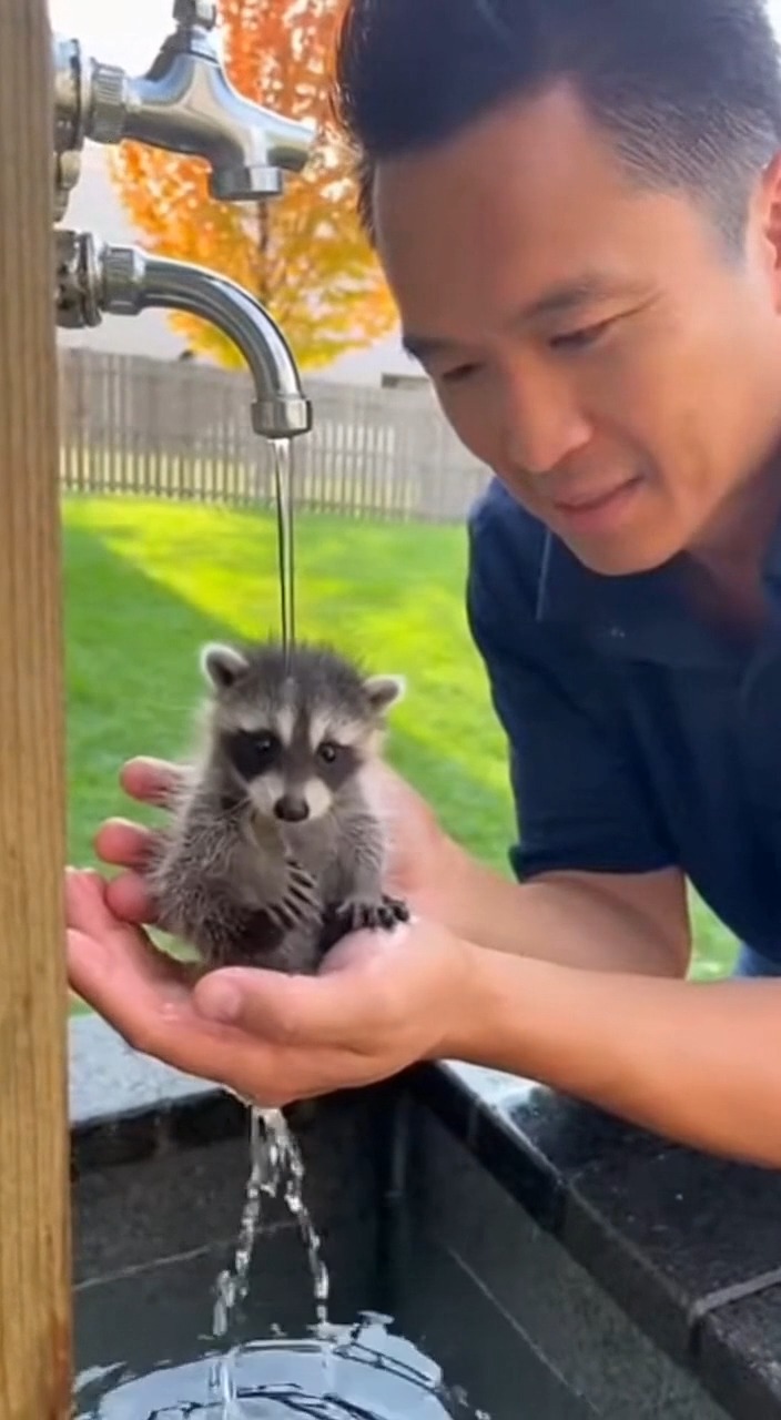 Here on our channel, we bring you the most heartwarming and adorable ...