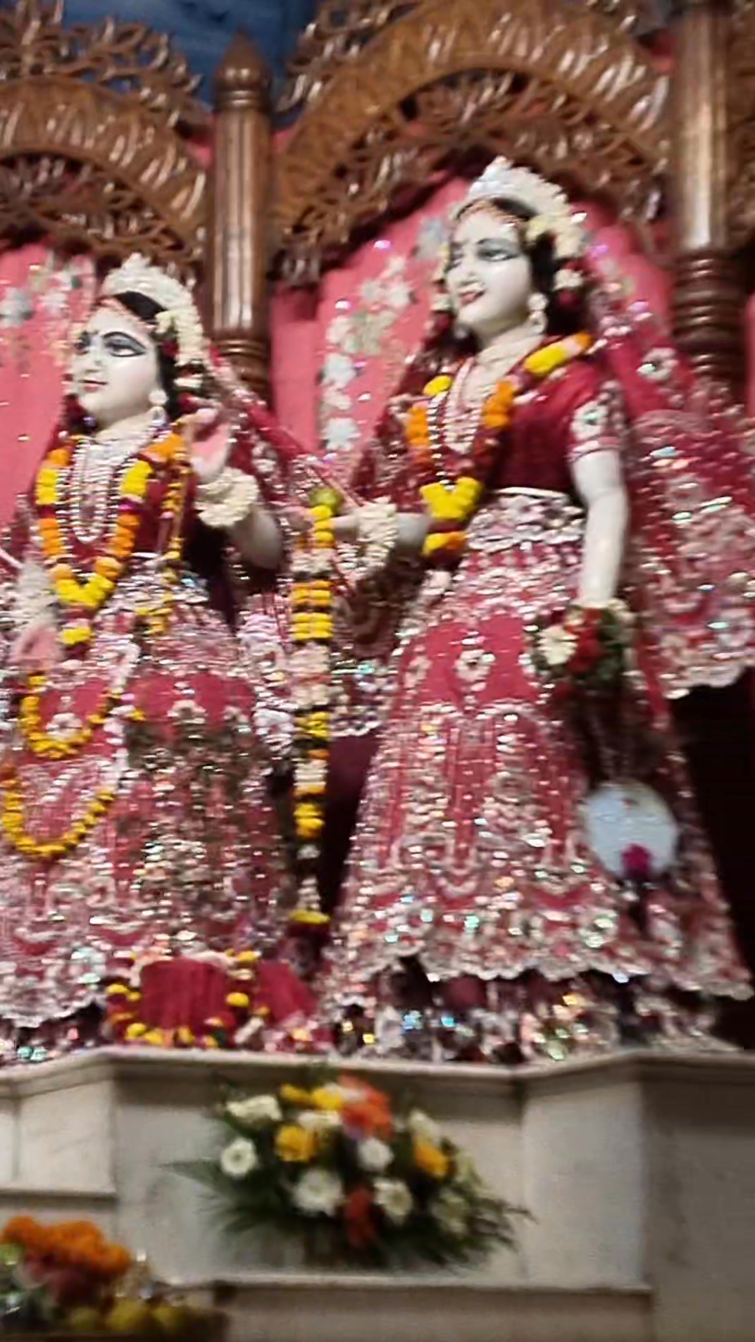 Mayapur King and Queen | Sambit Ghosh