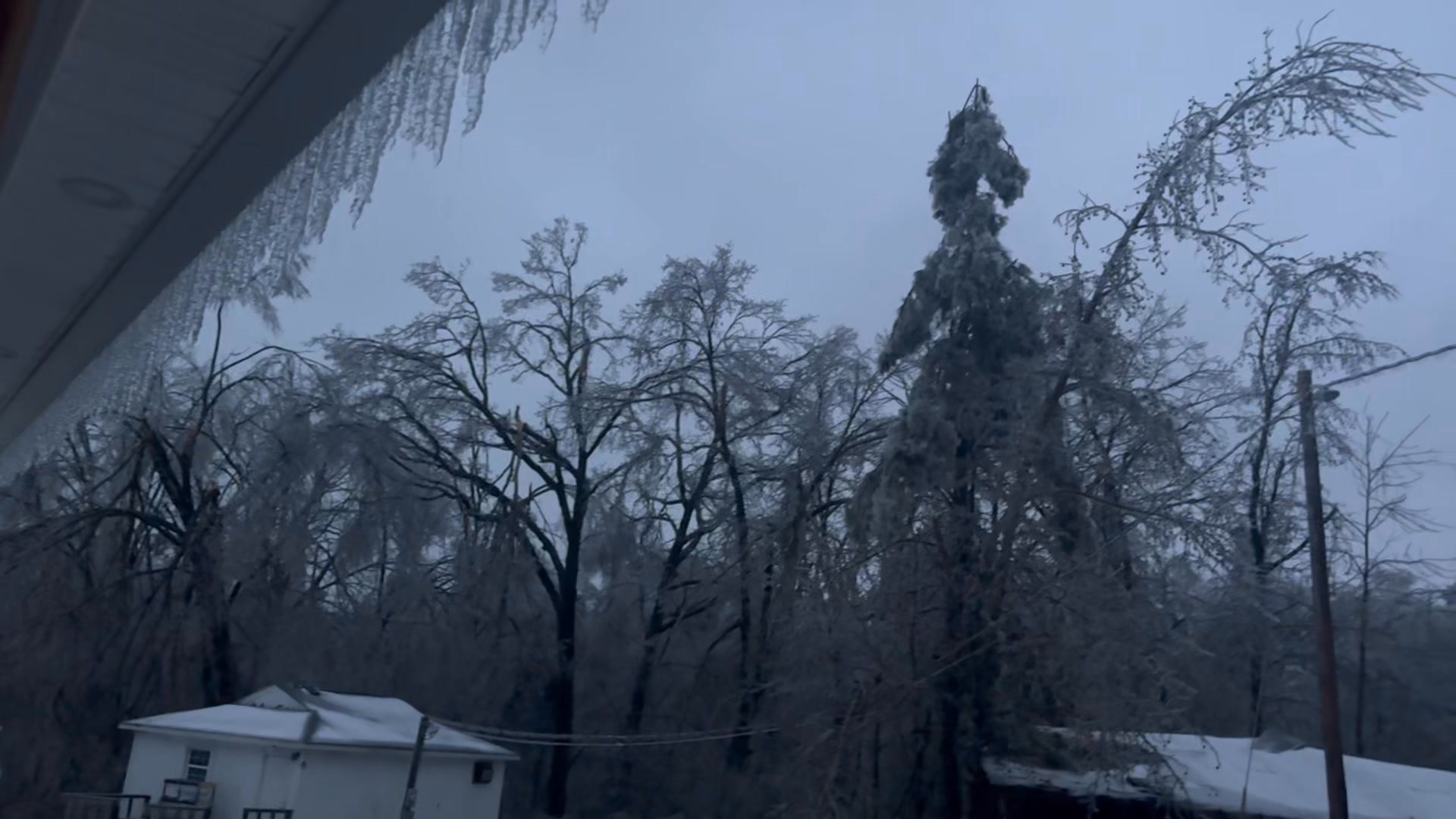 Ice Storm sights and sounds: Trees snapping and exploding. Still ...