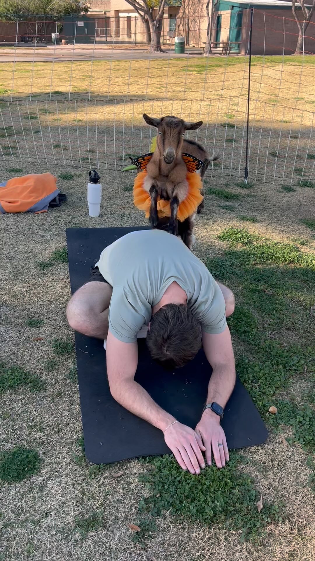 🐐 Goat Yoga This Weekend! 🐐 Looking for something fun, relaxing, and ...