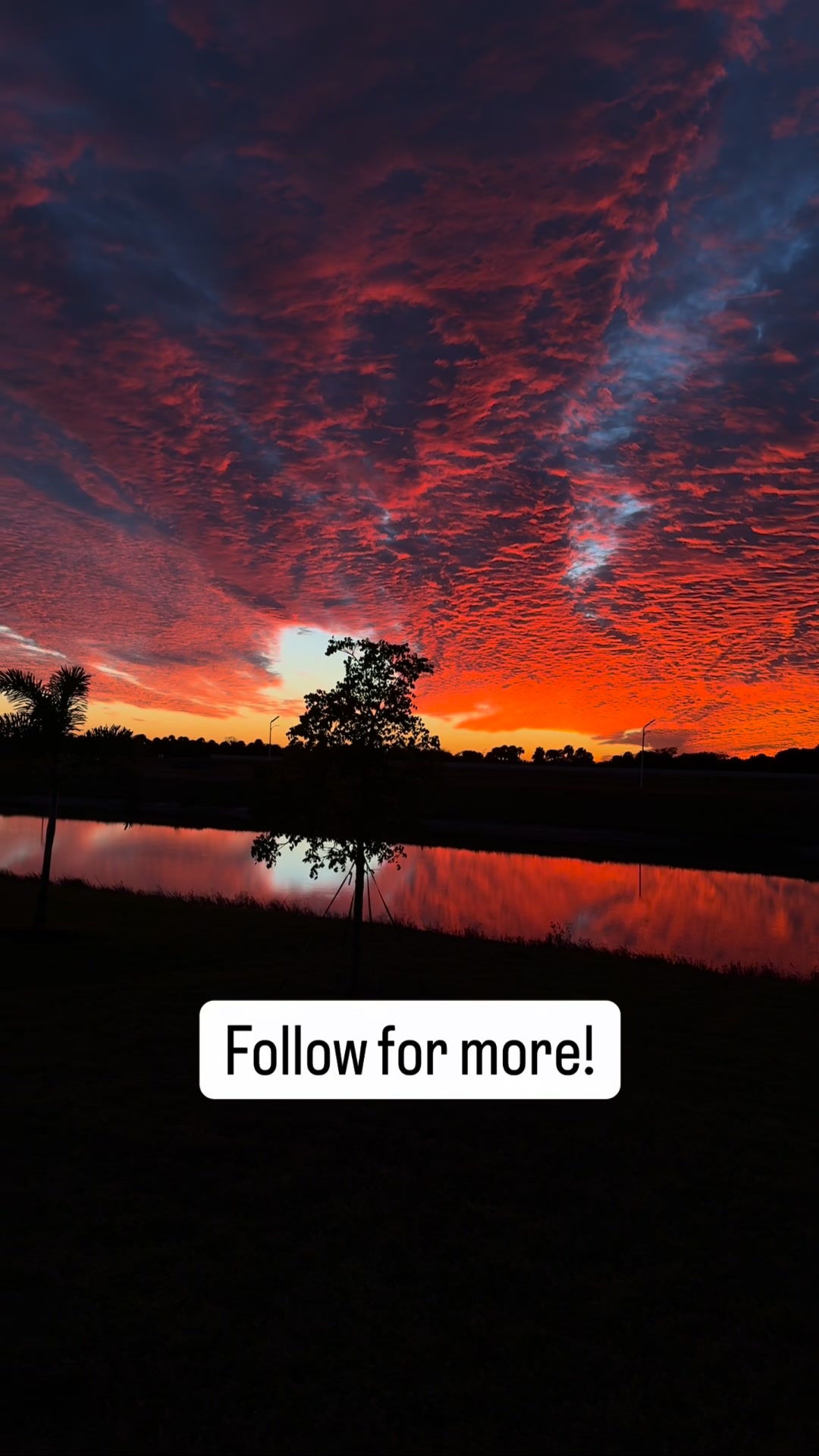 Most people stay distracted because stillness feels unfamiliar. But the ...