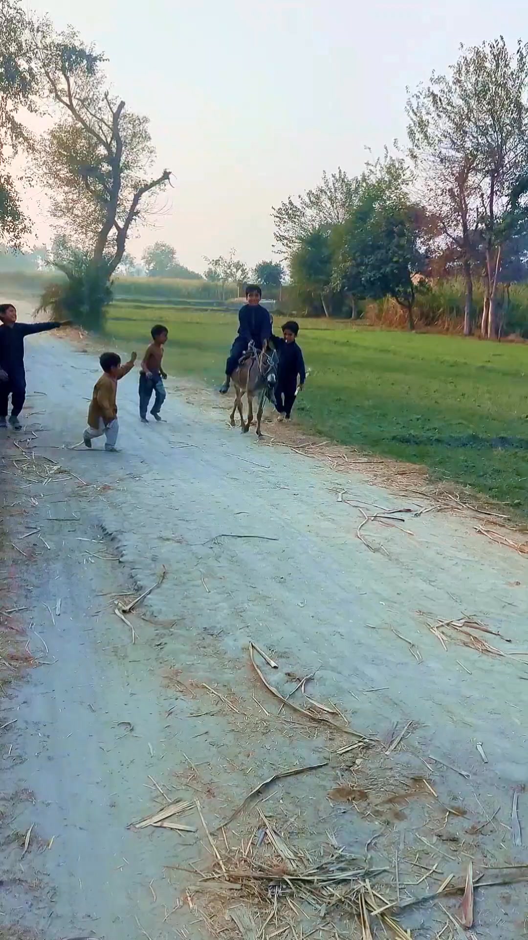 #village #villagelife #villagelifestyle | Deehat Rang | Facebook