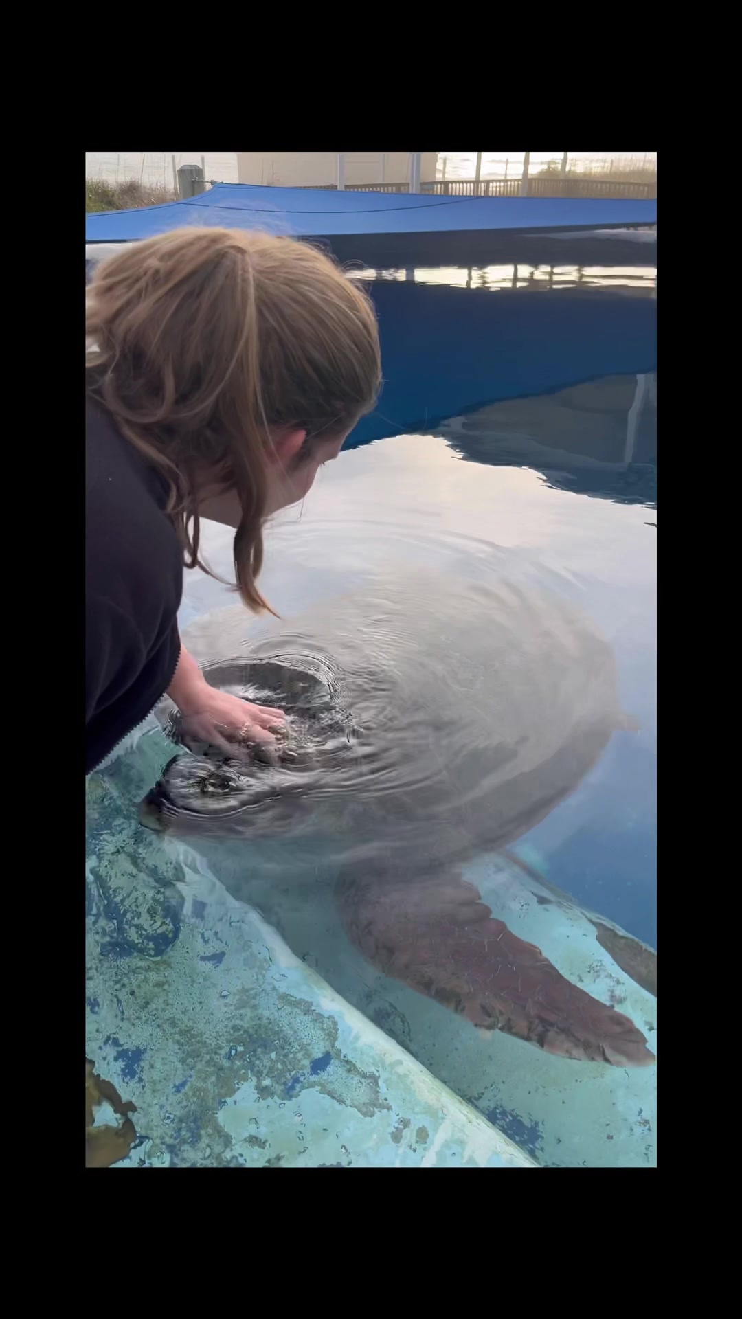 Checking in with our stranding coordinator, Tabby, to talk about the ...