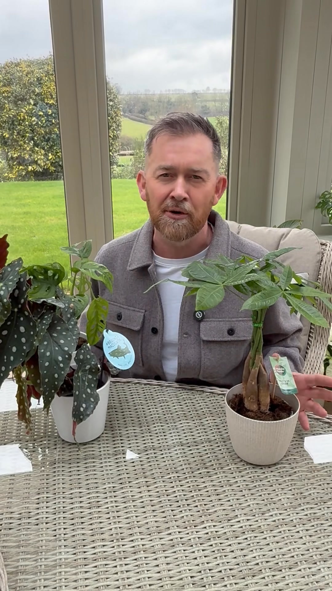 These are the 3 Houseplants you need! In honour of National Houseplant ...
