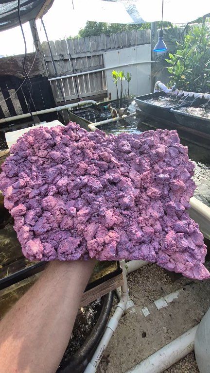 THIS IS 1 OF 7 SHELF ROCKS WE MAKE WITH OUR MOLDS. ALL ROCK IS MADE ...