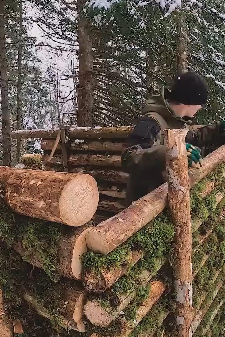 Building a Bushcraft Log Cabin for Survival _ Catch _ Cook _ Start to ...