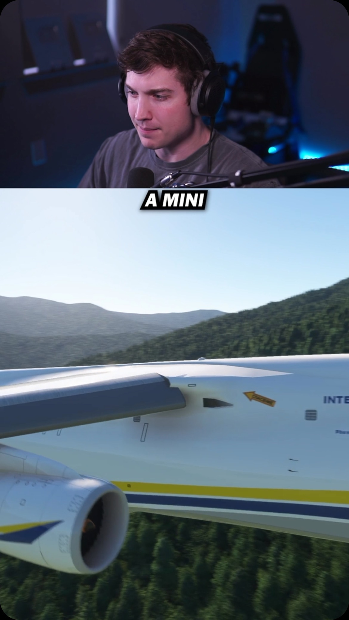 Planes vs. Mini Courchevel #aviation #flightsim #Simulator # ...