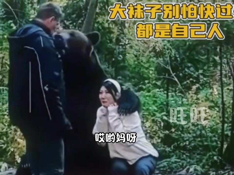 熊：不白來嗷不白來，包出片的 #搞笑視頻#看一遍笑一遍#搞笑配音 | 劉祉辰與王思琦 | Facebook